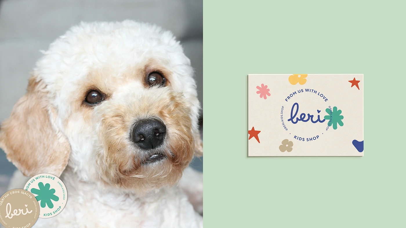 Shopify homepage design