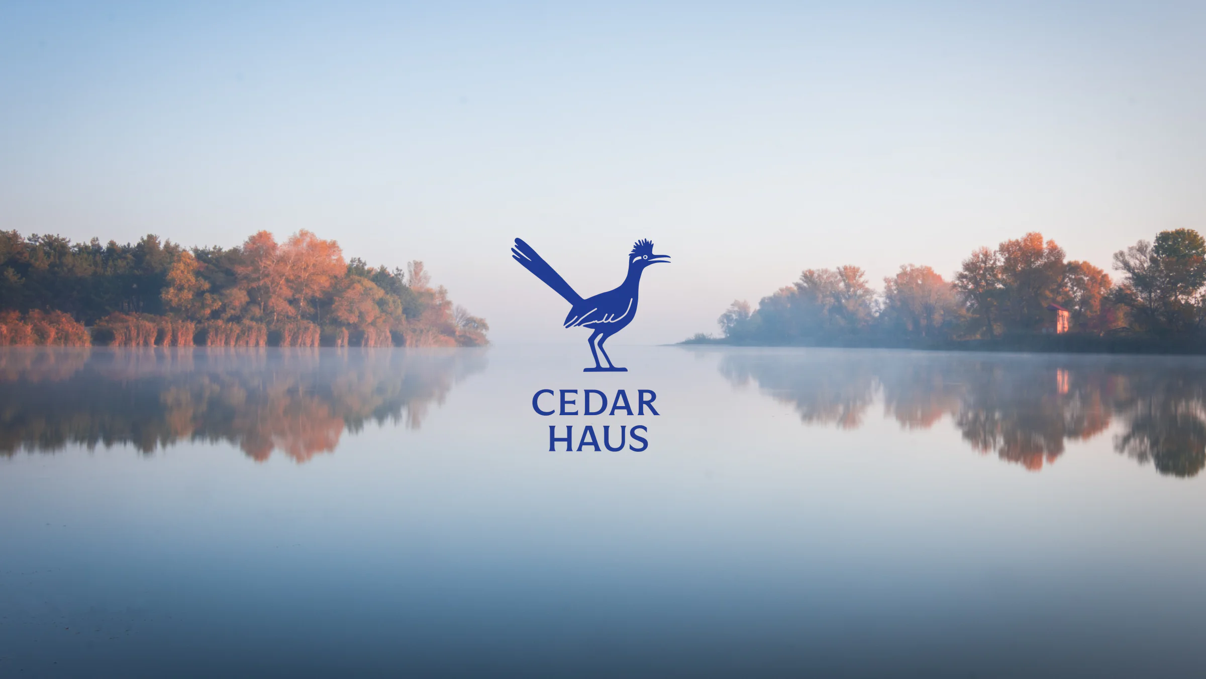 Cedar Haus - Airbnb & Real Estate