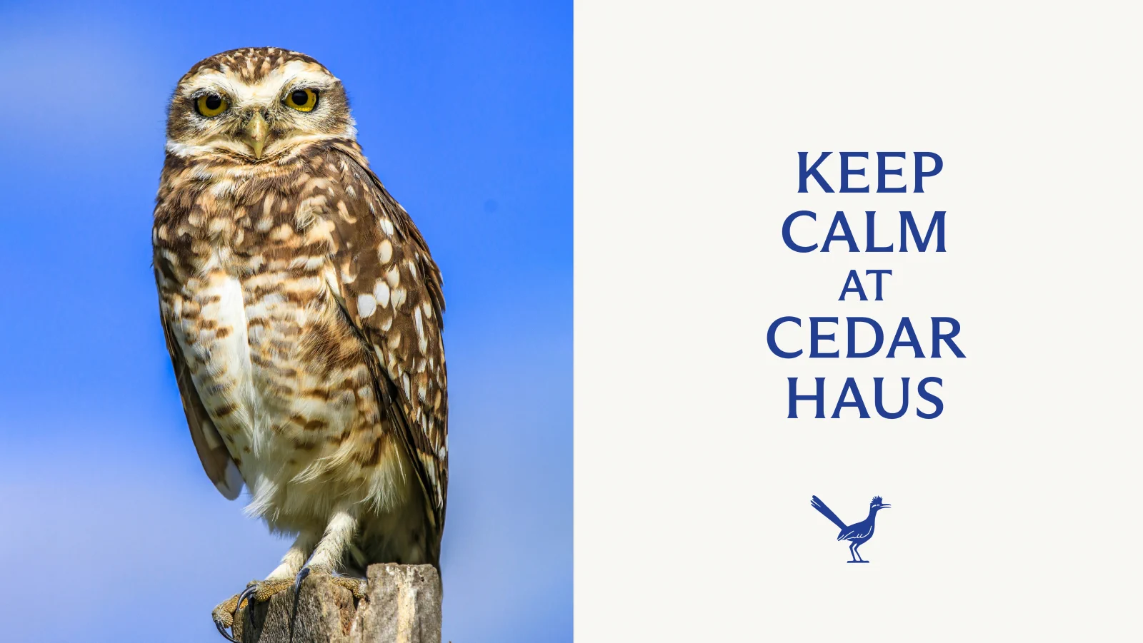 Cedar Haus brand tagline with owl - Keep Calm at Cedar Haus