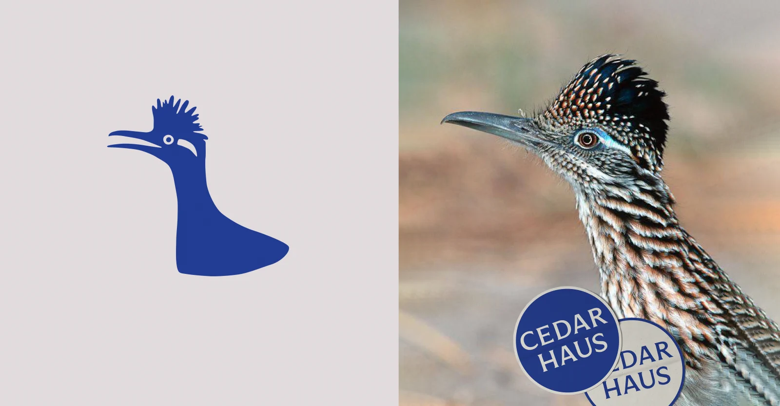 Brand mark detail - roadrunner illustration and circular stamps