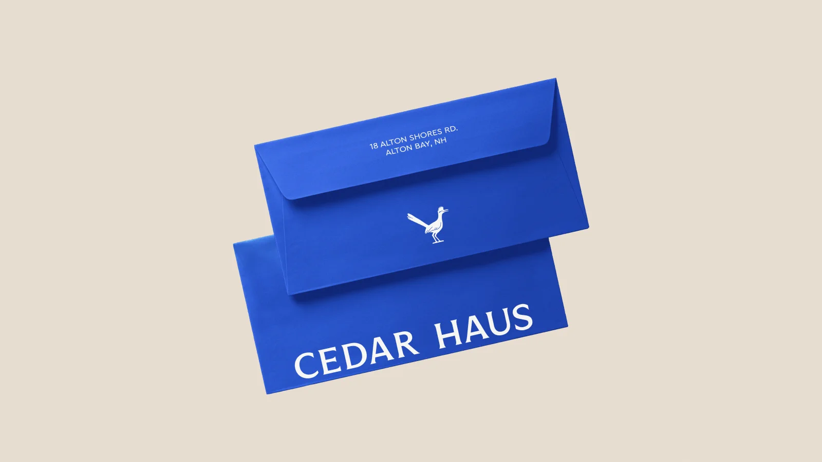 Blue branded envelopes with bird mark and wordmark